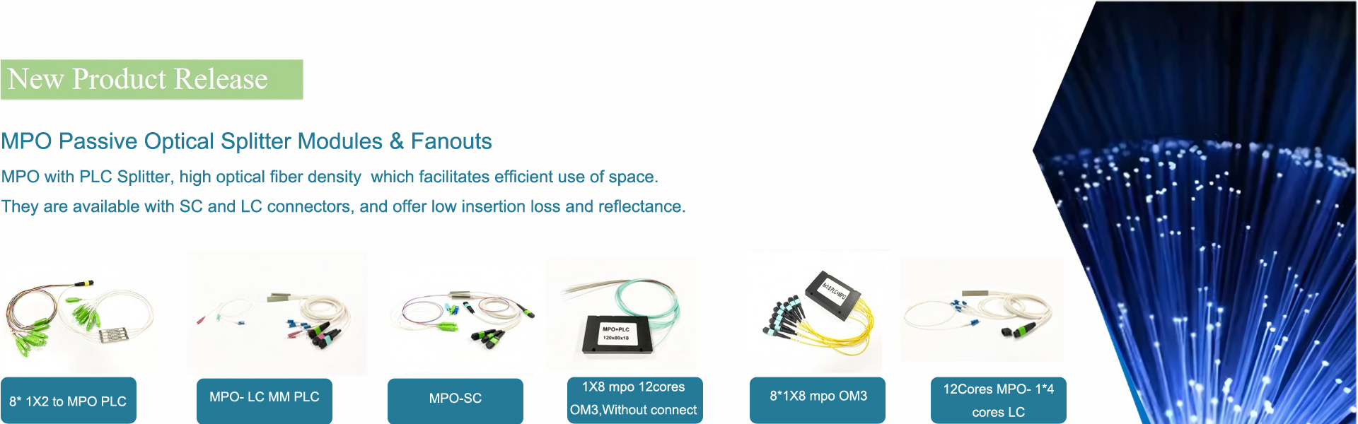 Calidad Caja de fibra óptica de la terminación fábrica