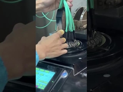 12 fibras OM3 10Gig MTP MPO cable, cable de tronco MPO - MPO 12 FO OM3 15 Mts