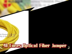 48 núcleos Fibra óptica Jumper Distribución de parche de cable Fanout con LC APC