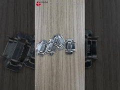 Dientes de oreja Fijaciones de acero inoxidable para tiras de banda SS SS304 SS201 3-25mm