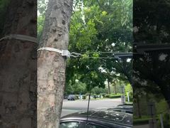 Abrazadera de anclaje de cable de extremo muerto de suspensión de fibra óptica FTTH para cable ADSS de 8-12 mm