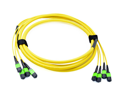 High Density 12 Cores OM5 Multimode MPO Fiber Optic Cable with LSZH Jacket for 100G Data Centers